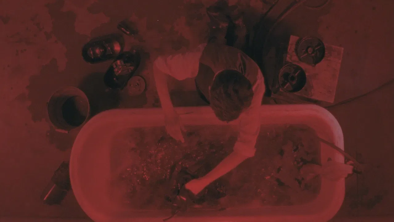 La macchina delle immagini di Alfredo C. backdrop