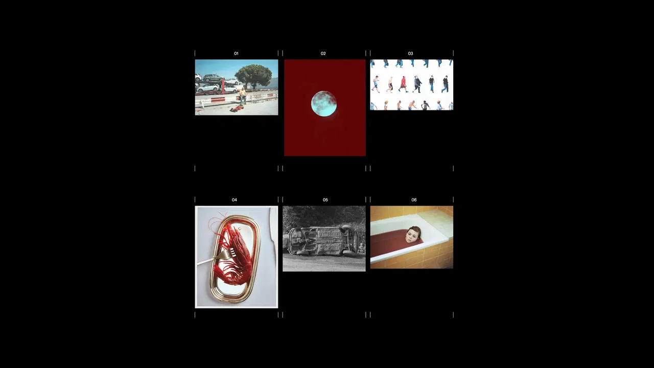 Diaris fotogràfics backdrop