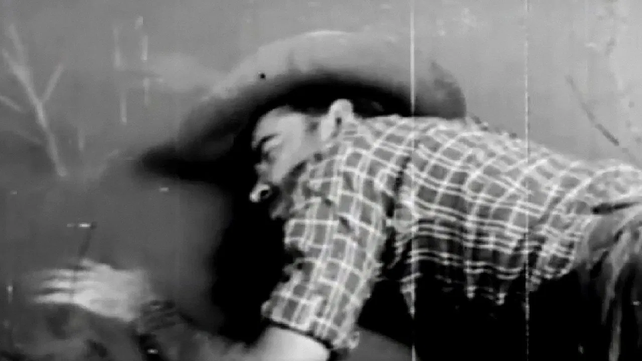 Adventurer's Fate backdrop