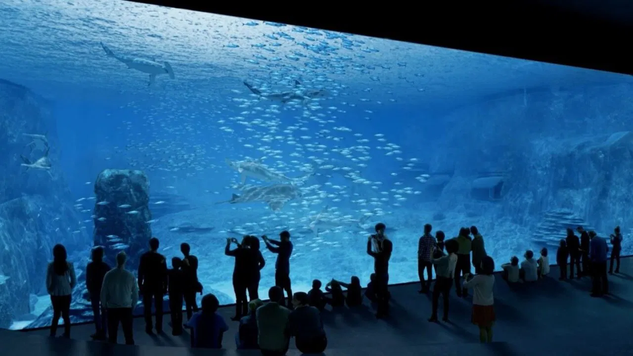 Nausicaa: The Largest Aquarium in Europe backdrop