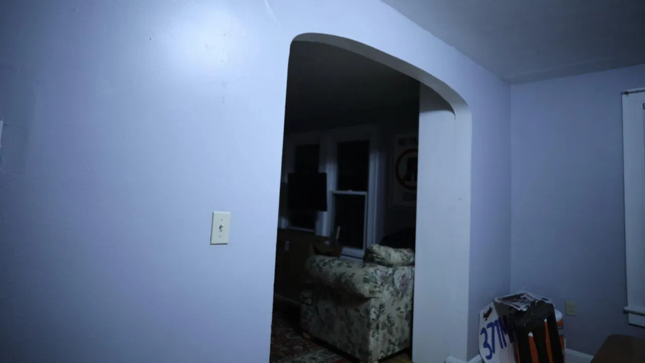 Lichen and Twice the Control of People backdrop