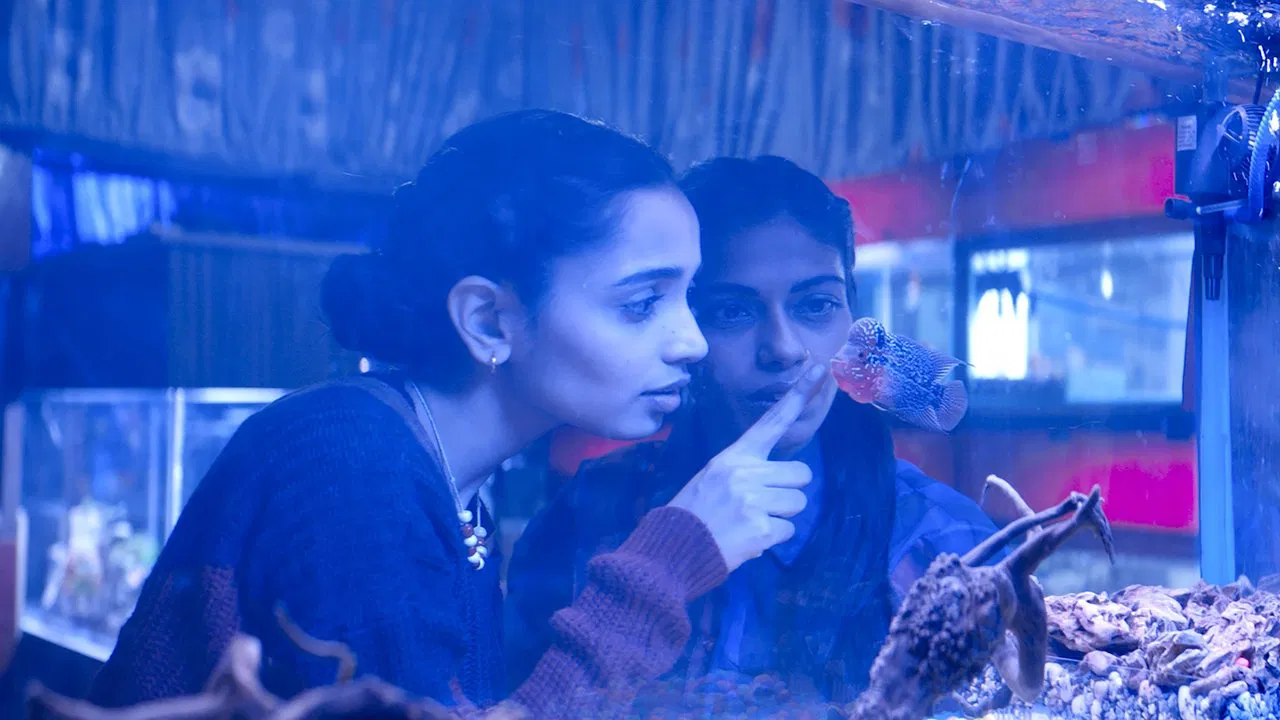 The Shameless backdrop