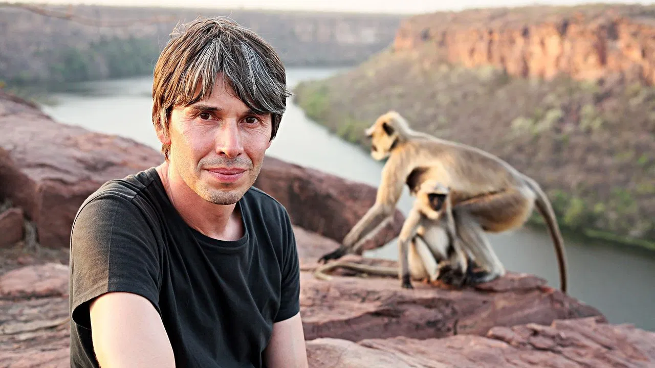 Human Universe backdrop