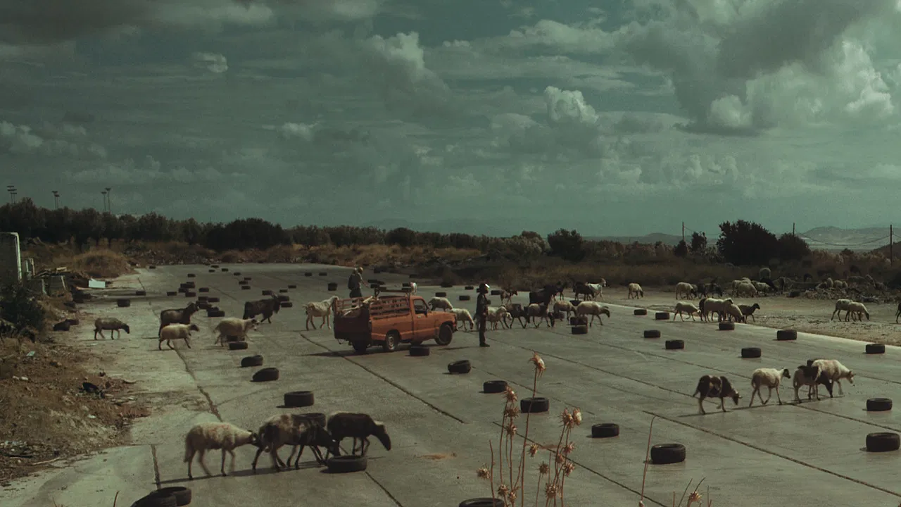 The Future is an Elder Cow backdrop