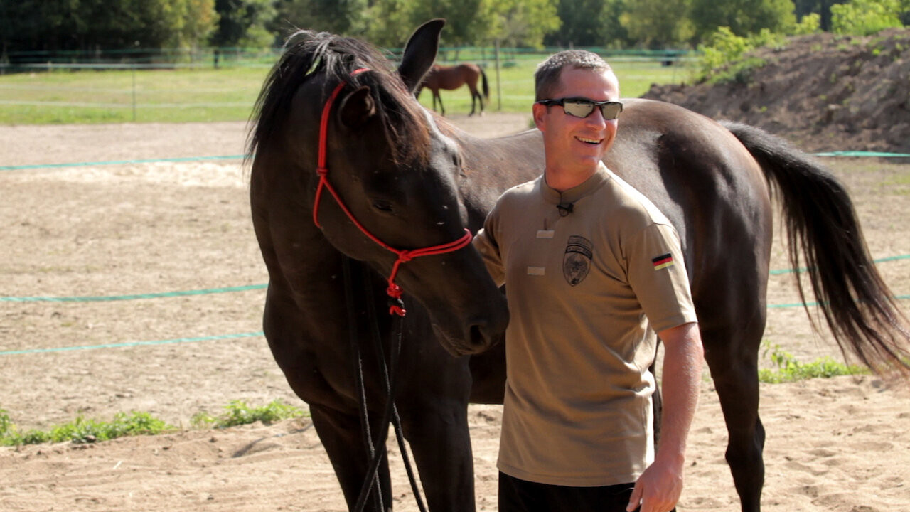 Silent Comrade backdrop