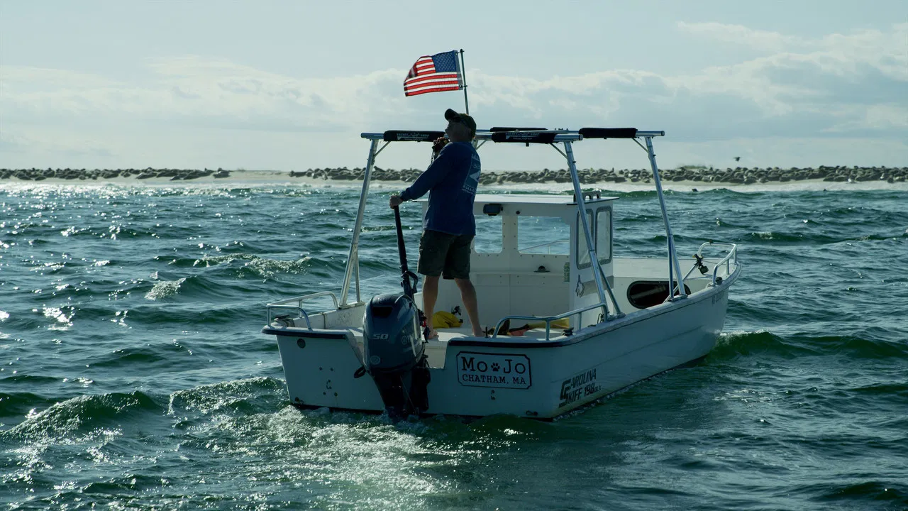 Great White Summer backdrop