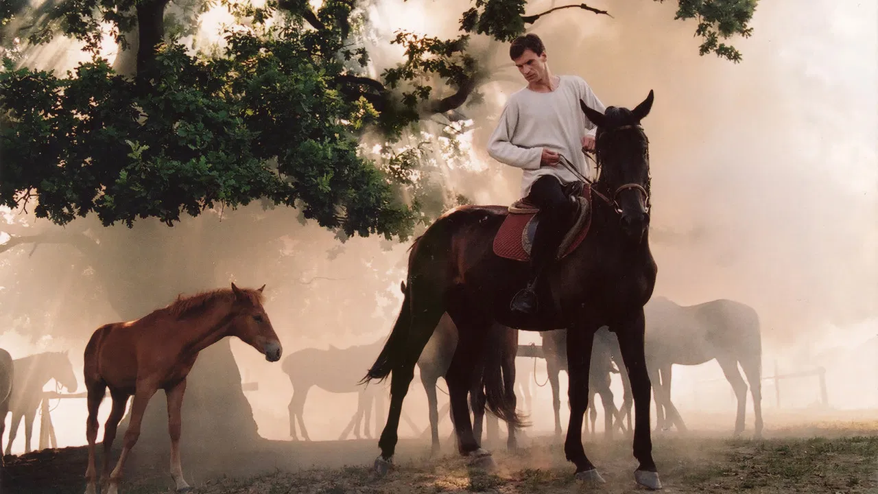 The Noise of the Wind backdrop