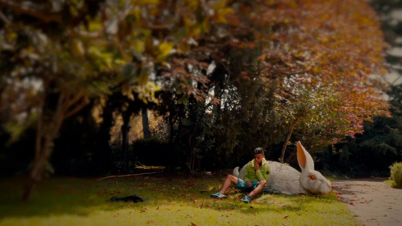 Mount Tropic, A Story of the Lockdown backdrop