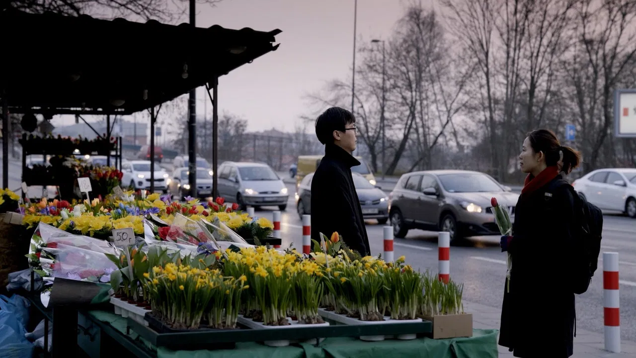 The King of the Border backdrop