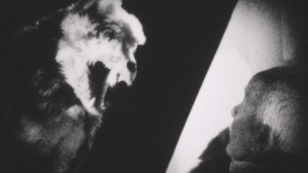 Grenfell Adrift on an Iceberg backdrop