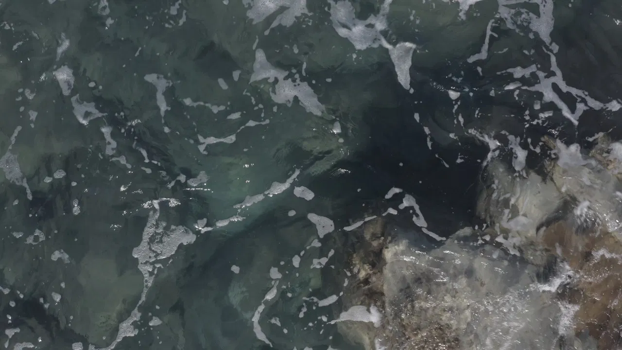 Flesh And Bronze backdrop