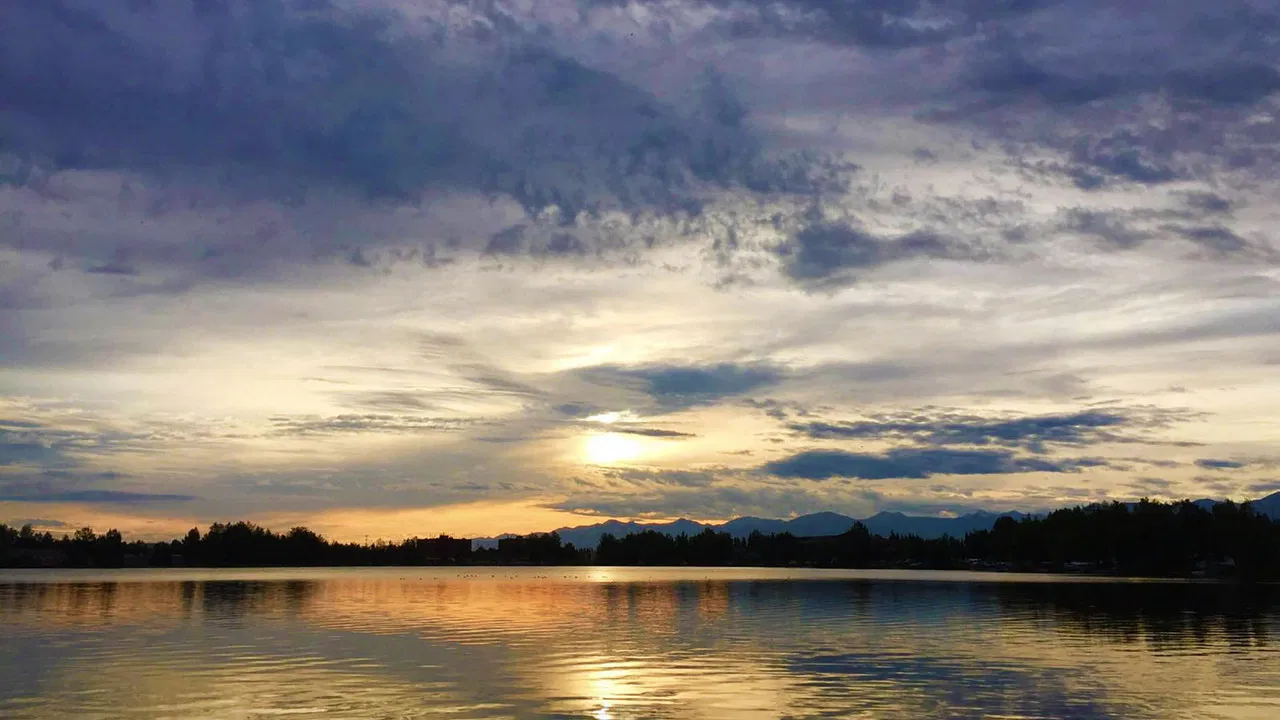 Wild Alaska Live backdrop