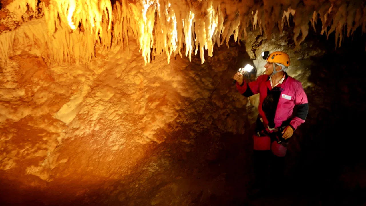 Birth of Europe backdrop