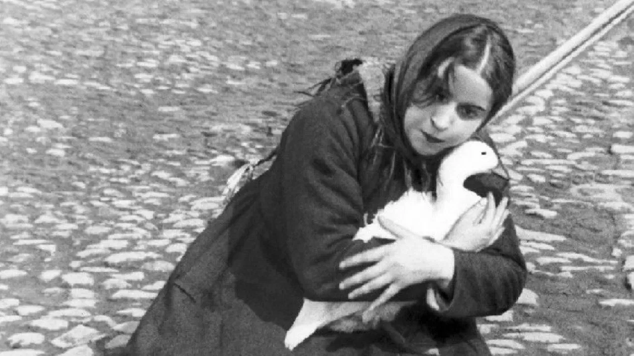 The House on Trubnaya backdrop