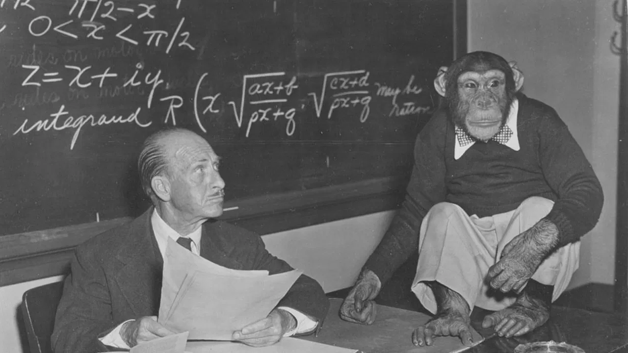 Bonzo Goes to College backdrop