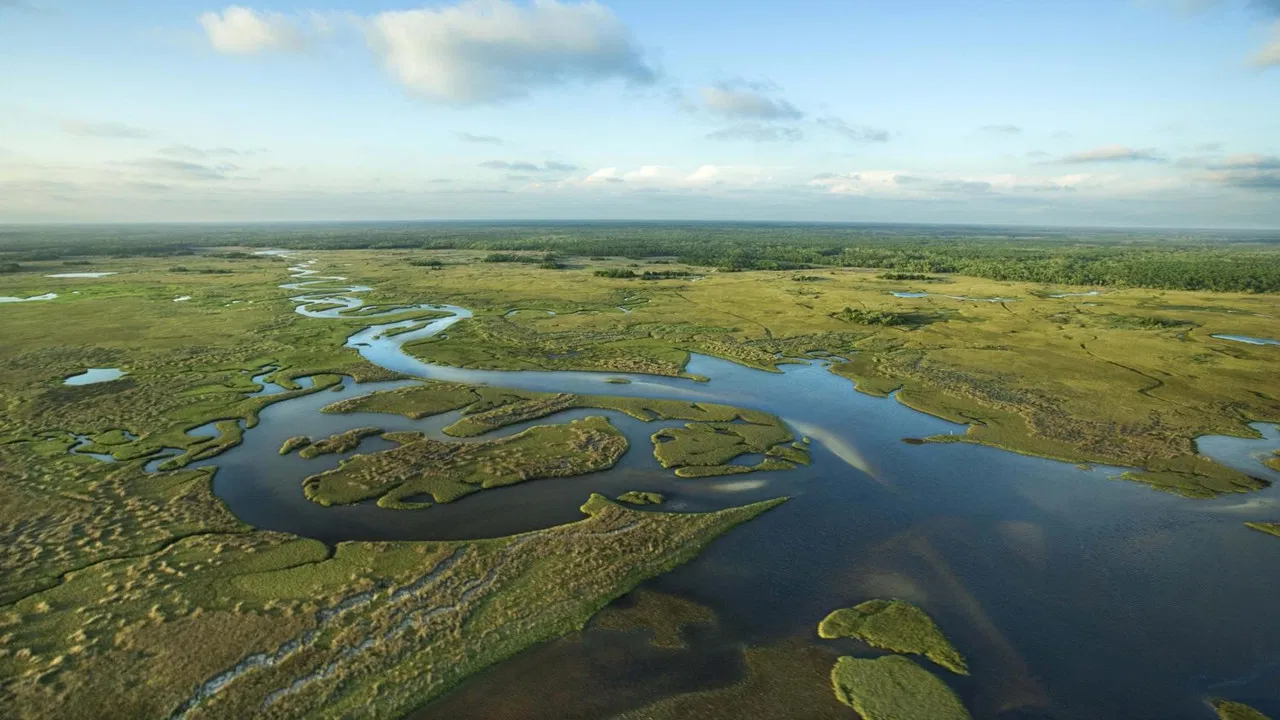 National Parks Exploration Series: The Everglades backdrop