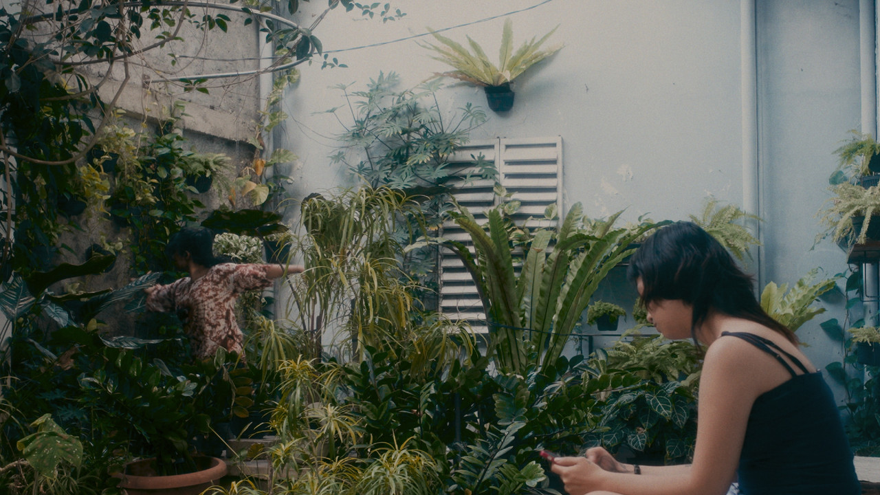 Right Below The Neck backdrop