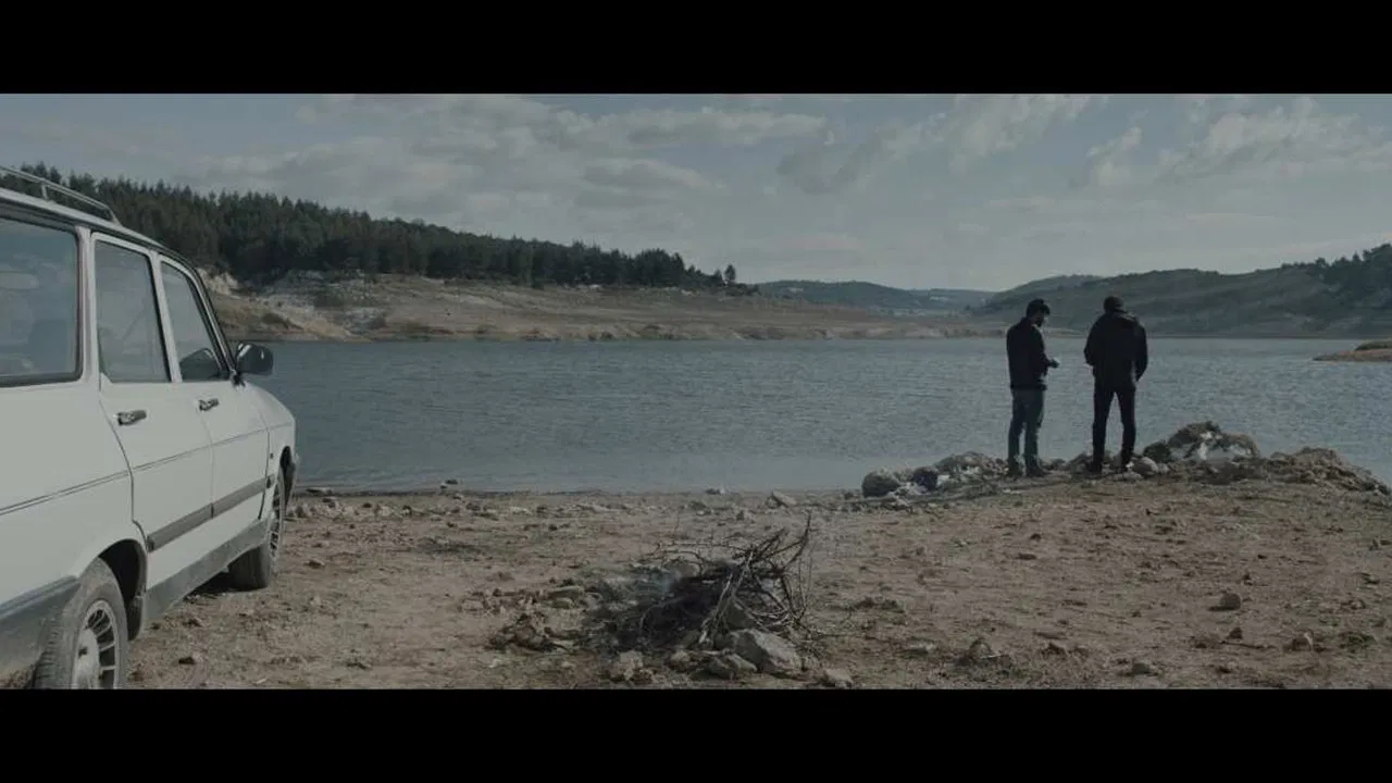 Gardens Petrified backdrop