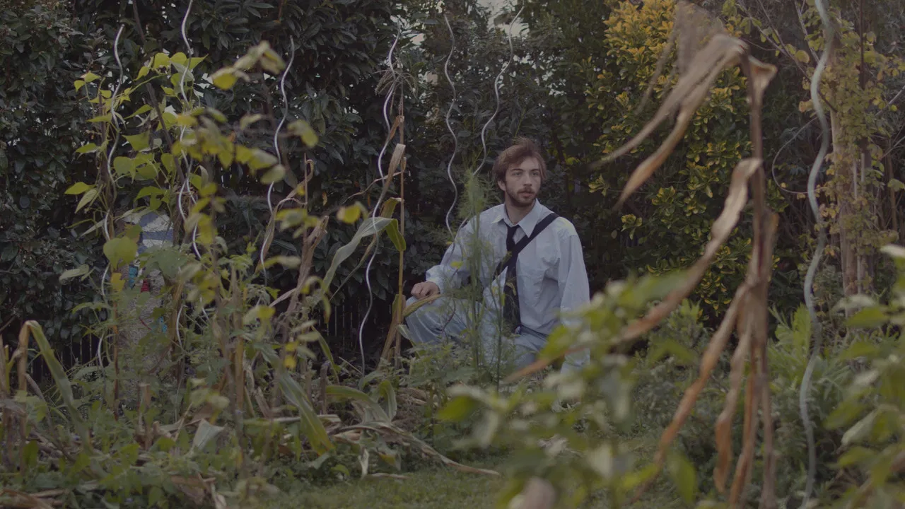 Minuit derrière l'église backdrop