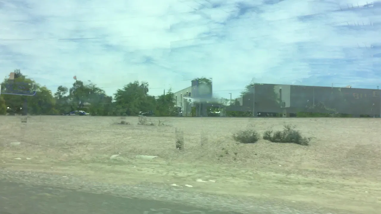 This Cacophony Runs Over Me backdrop