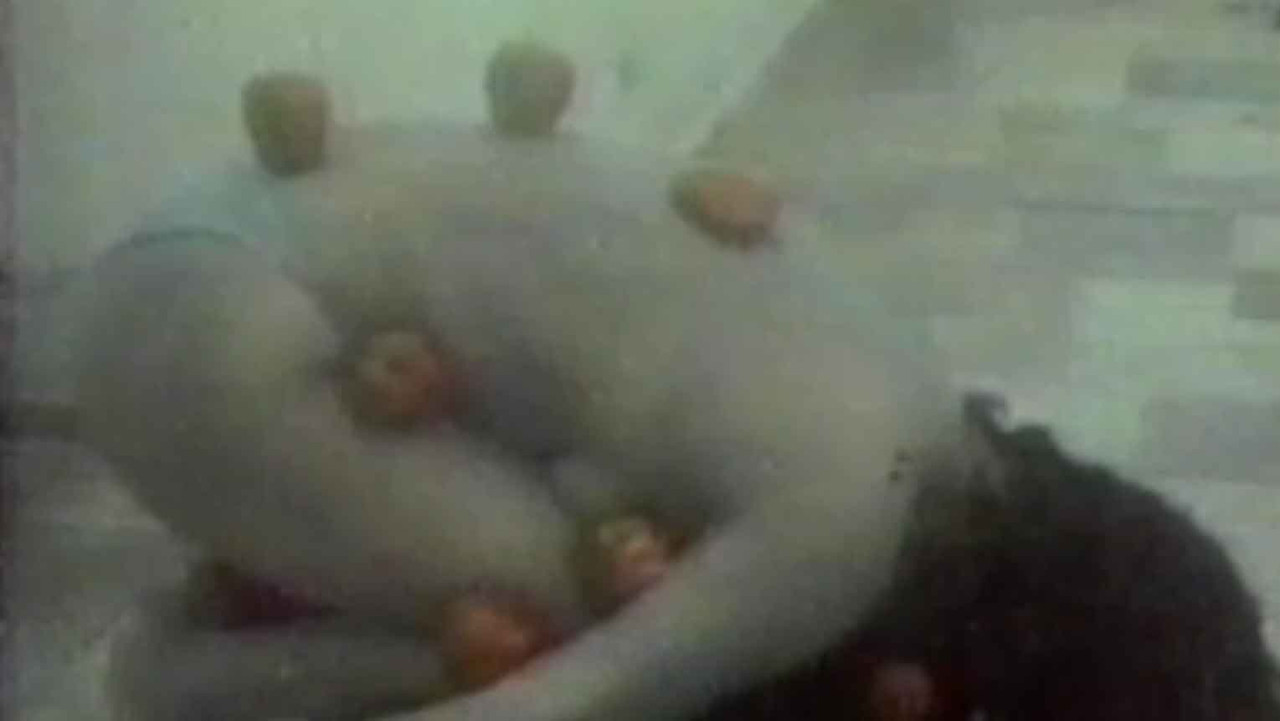 Espírito desencarnado backdrop