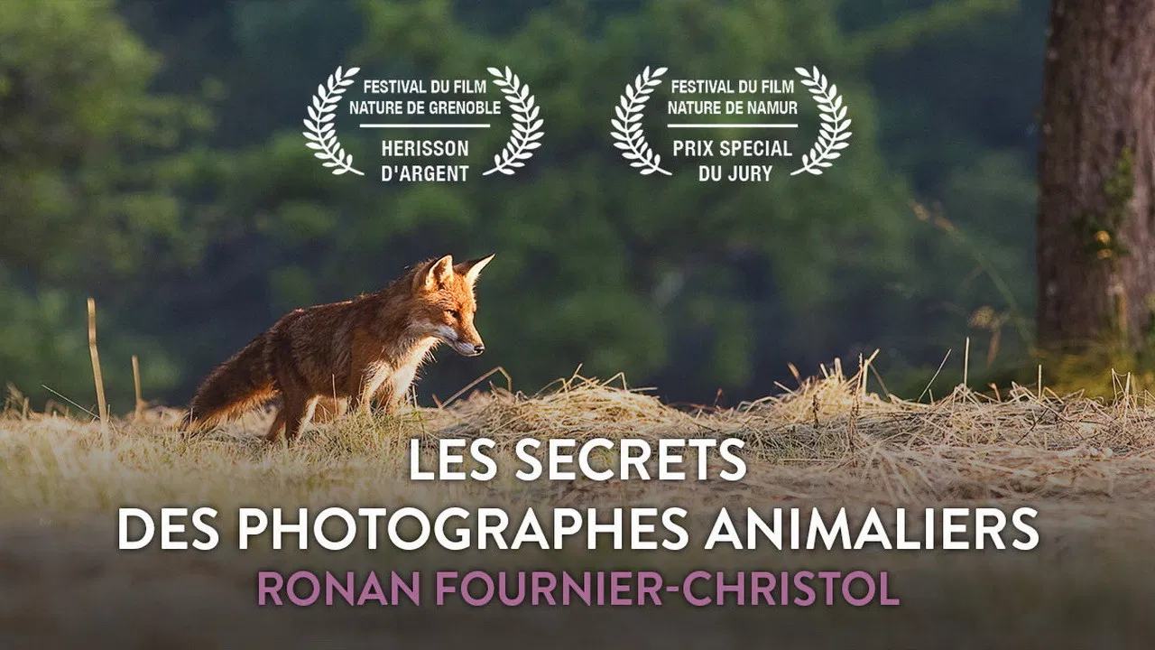 Les secrets des photographes animaliers backdrop