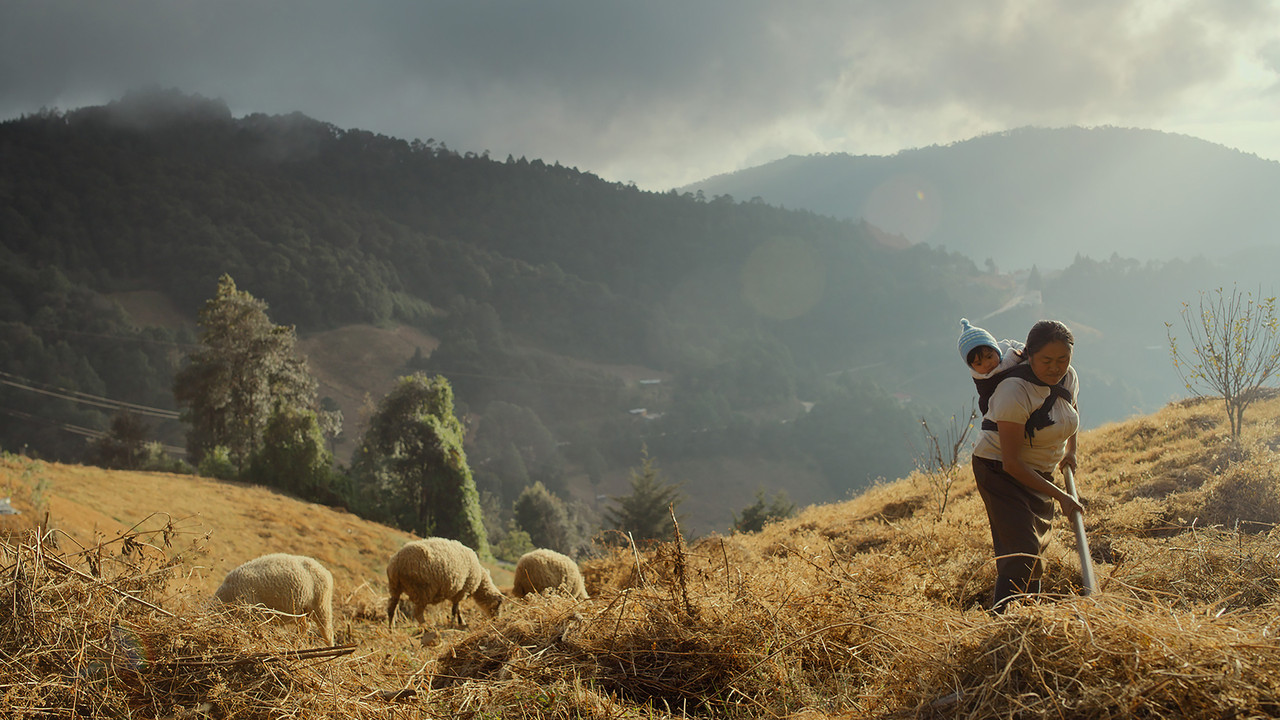 Oc ni temiki (Sigo soñando) backdrop