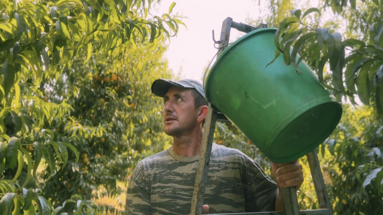 Pêche Capitale backdrop