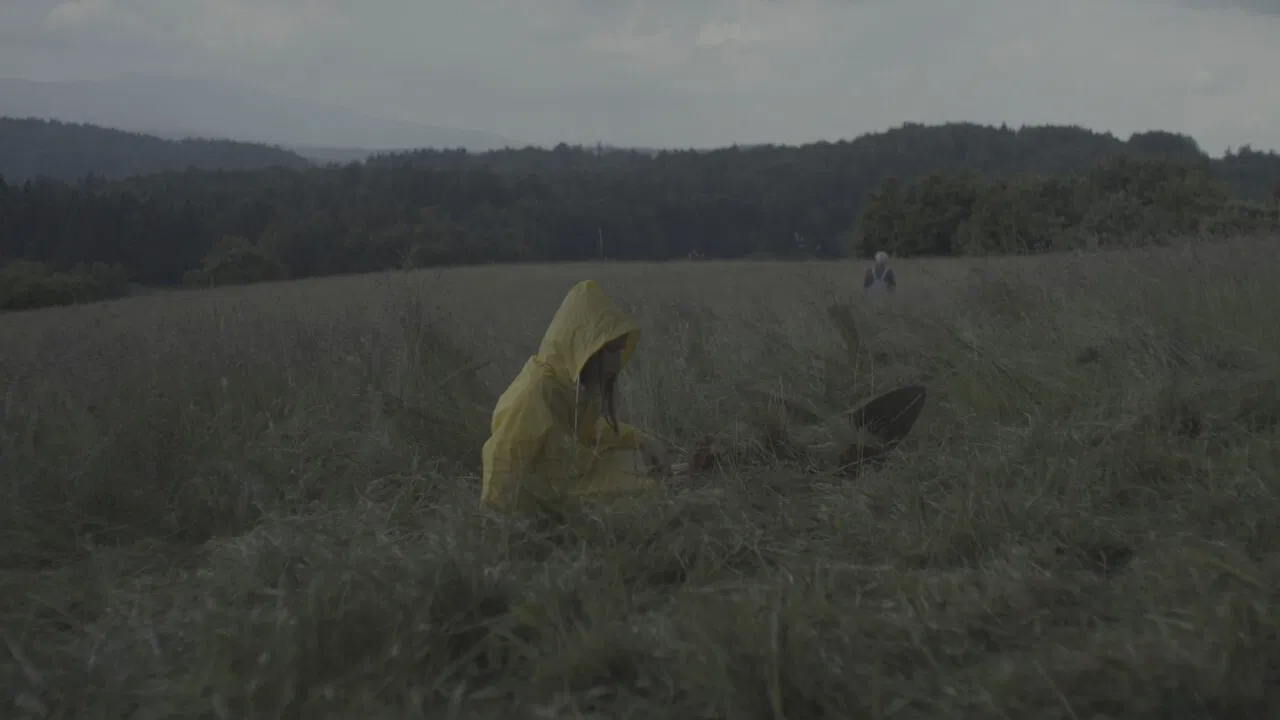 Soil Stories backdrop