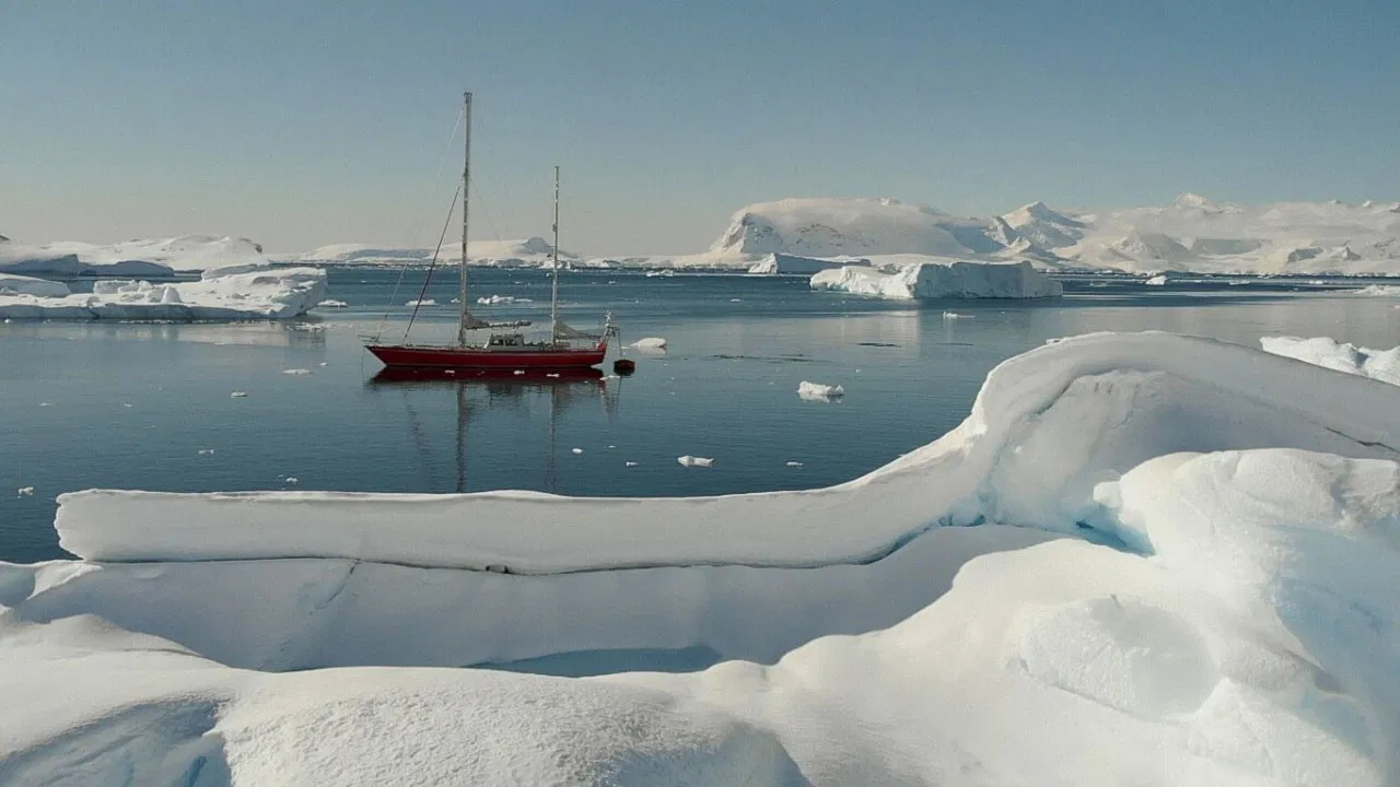 Selma - An adventure from the edge of the world backdrop