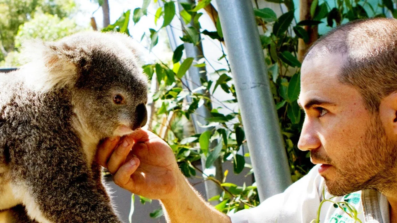 Wild Life At The Zoo backdrop