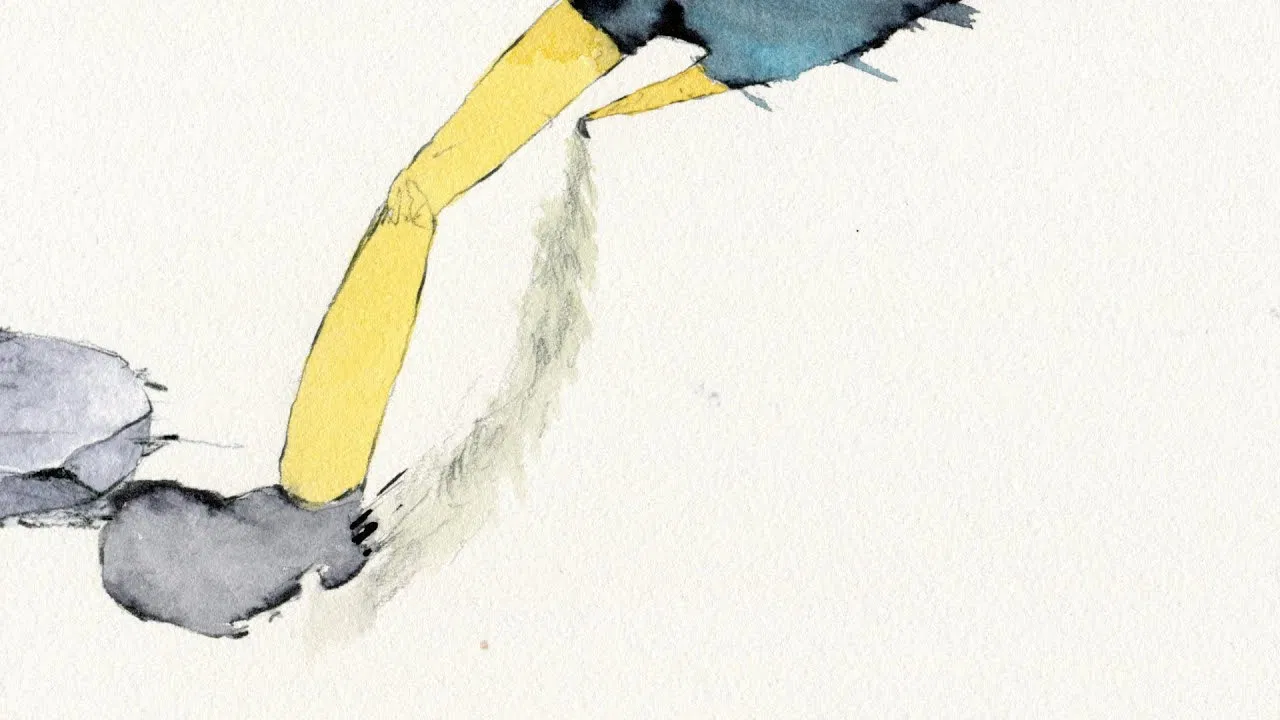 Kicking Rocks backdrop