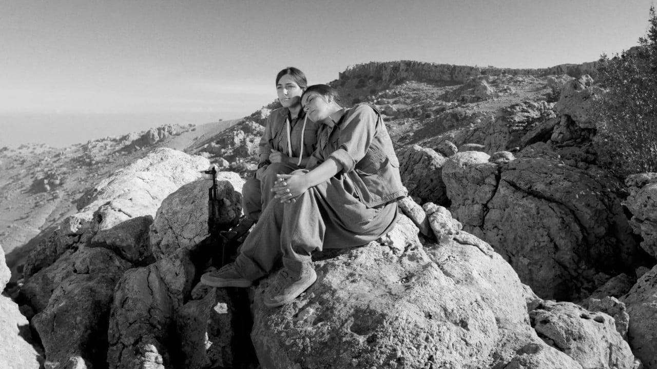 Letters from Shengal backdrop