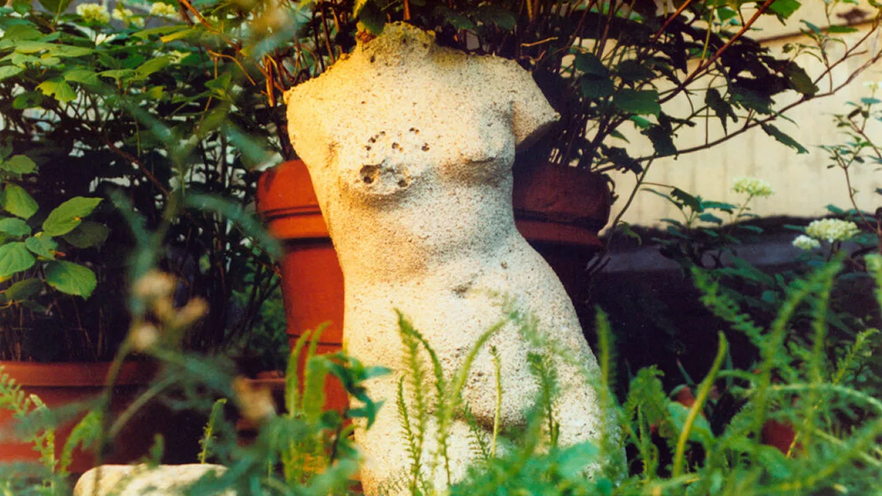 The Odds of Recovery backdrop