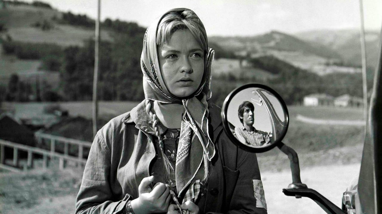 Superfluous backdrop