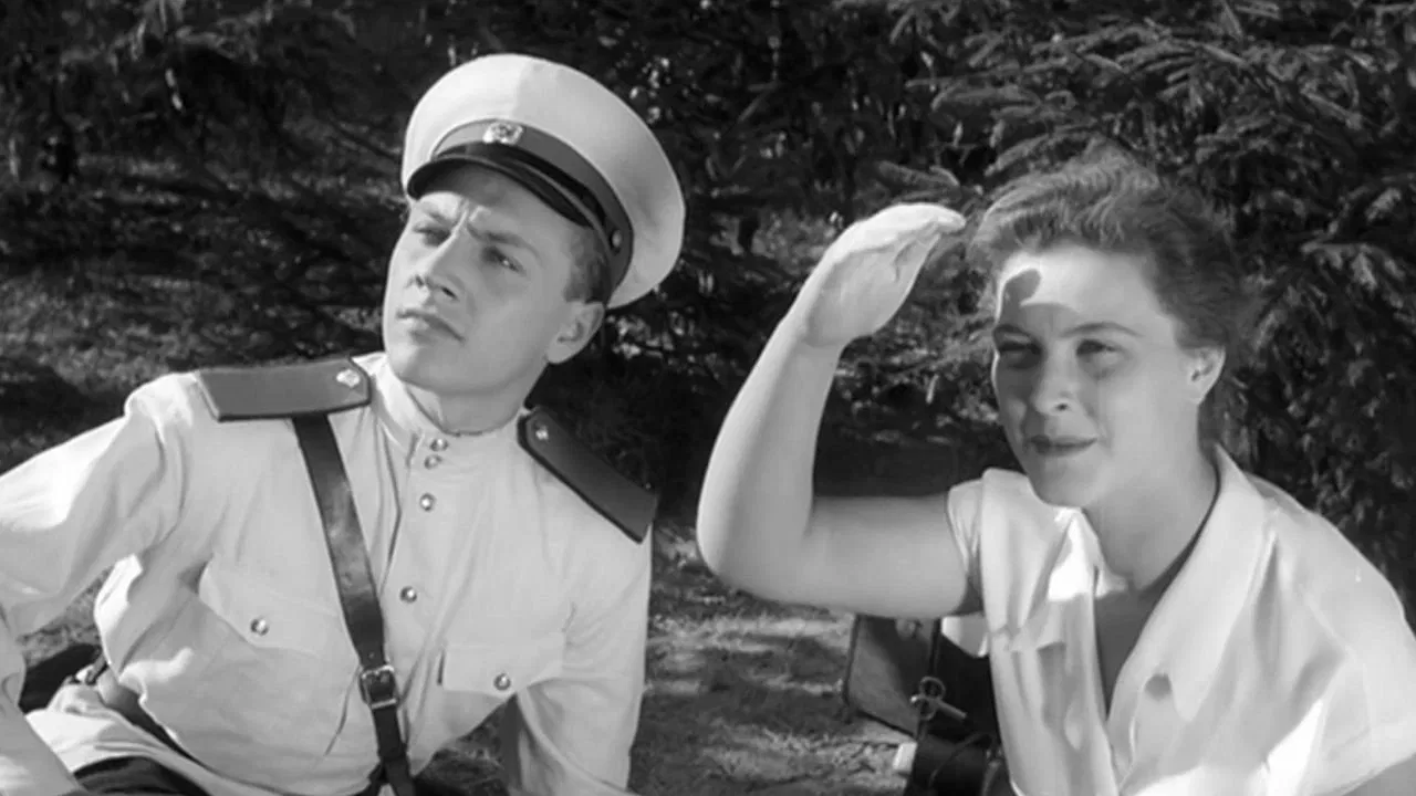 Case No. 306 backdrop