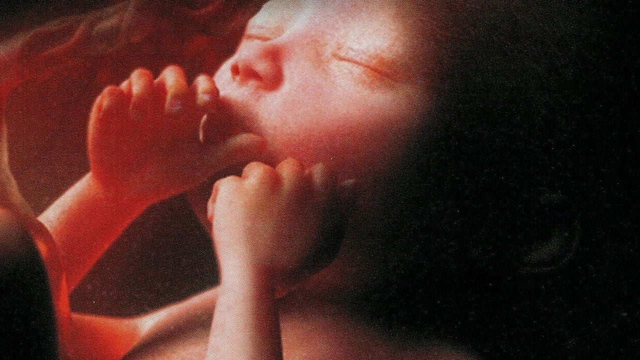 L'odyssée de la vie backdrop