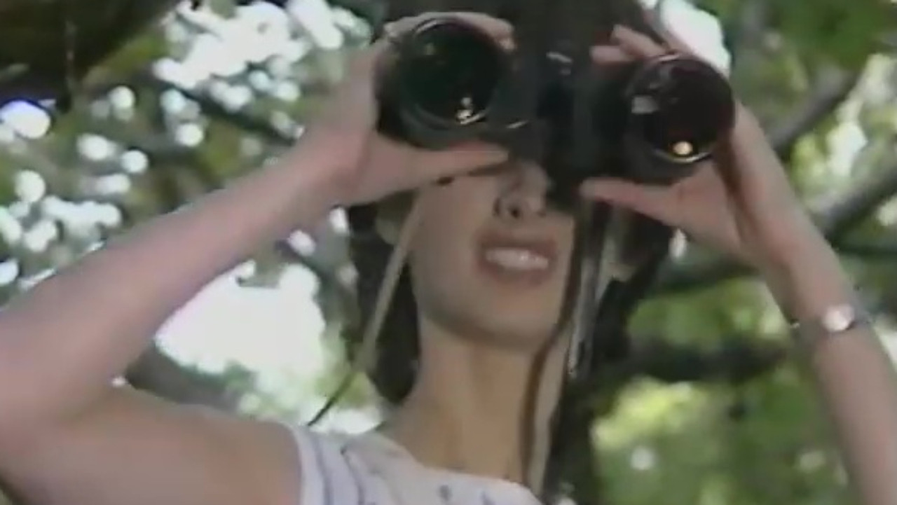 S.O.S. Galw Gari Tryfan backdrop