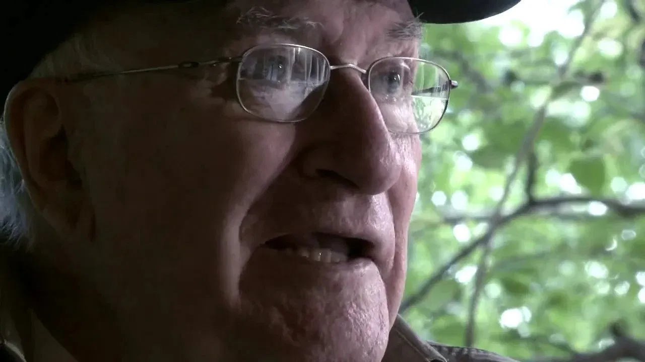 Vicente Aranda, 50 años de cine backdrop