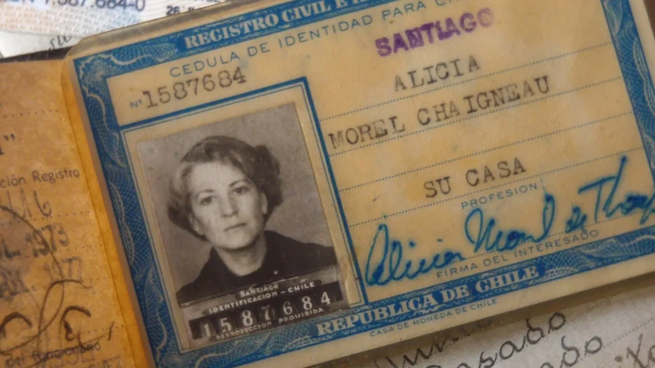 Alicia bajo la higuera backdrop