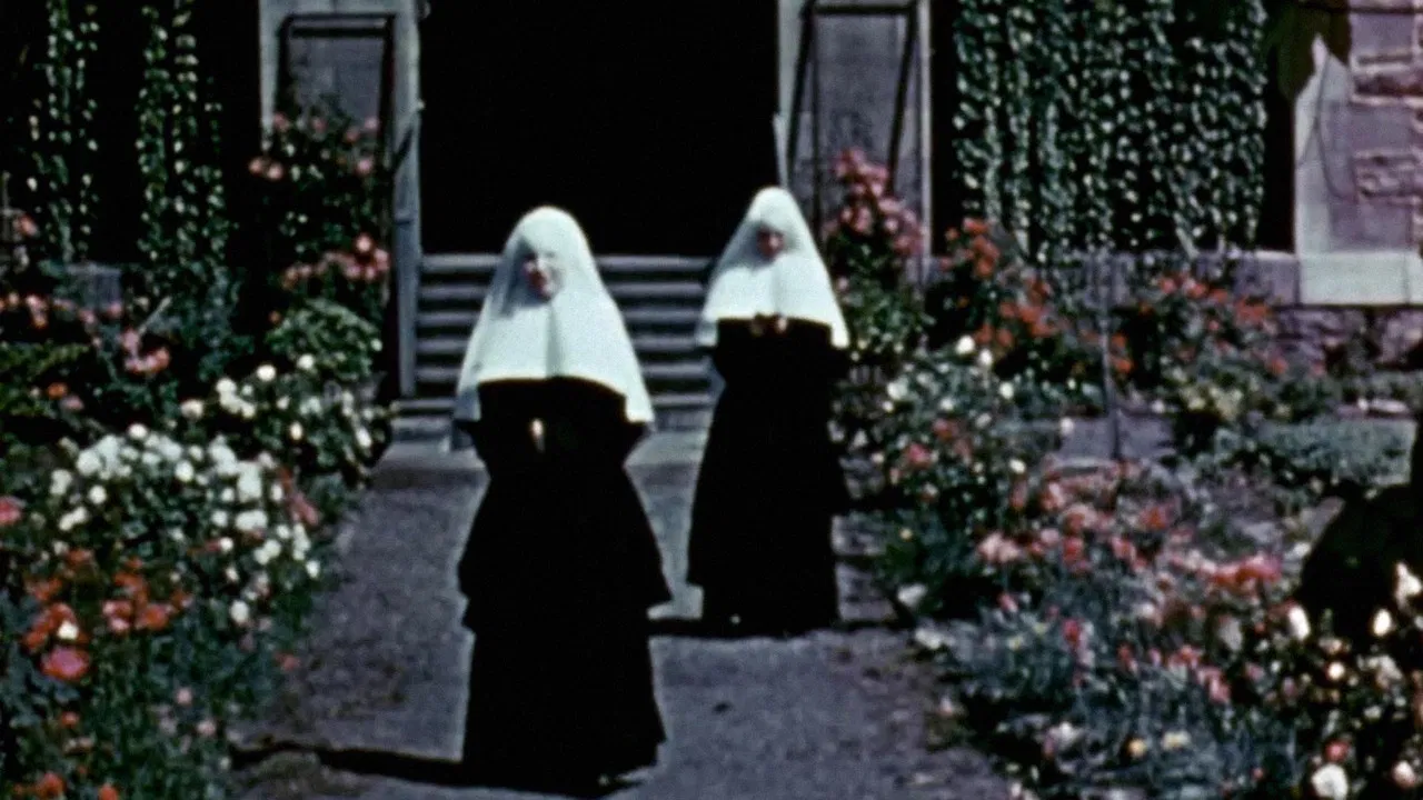 La Cité de Notre-Dame backdrop