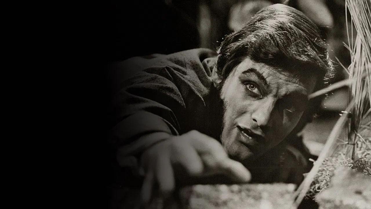 Dark Shadows: The Haunting of Collinwood backdrop