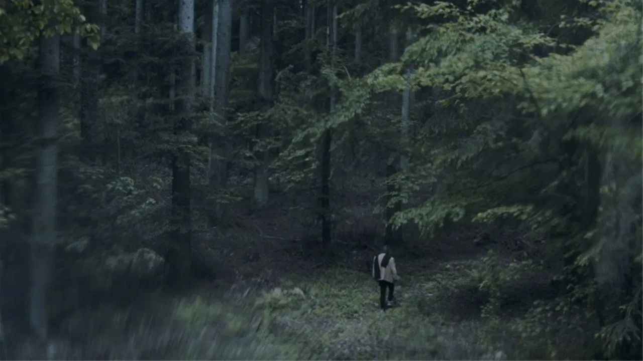 The Luminous View backdrop