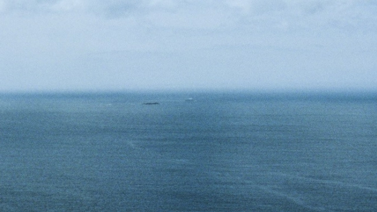 The Water Is Dead backdrop