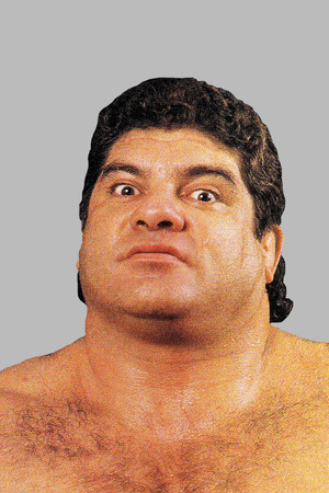 Don Muraco photo