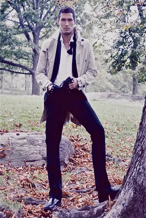 Wayne Stephens photo