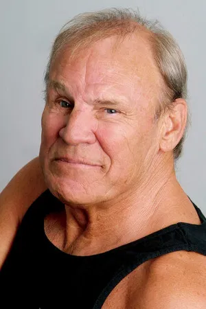 Don Stroud photo
