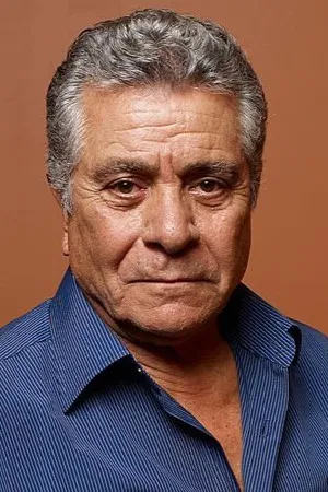 Behrouz Vossoughi photo