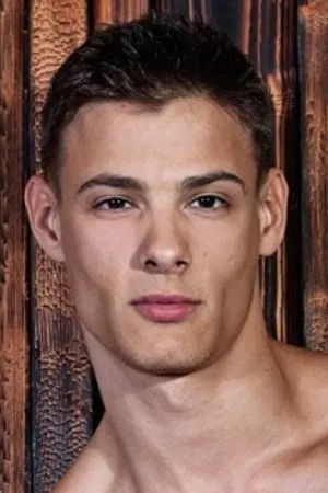 Andrei Karenin photo