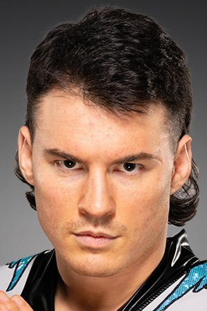 Émile Charles Baillargeon-Laberge photo